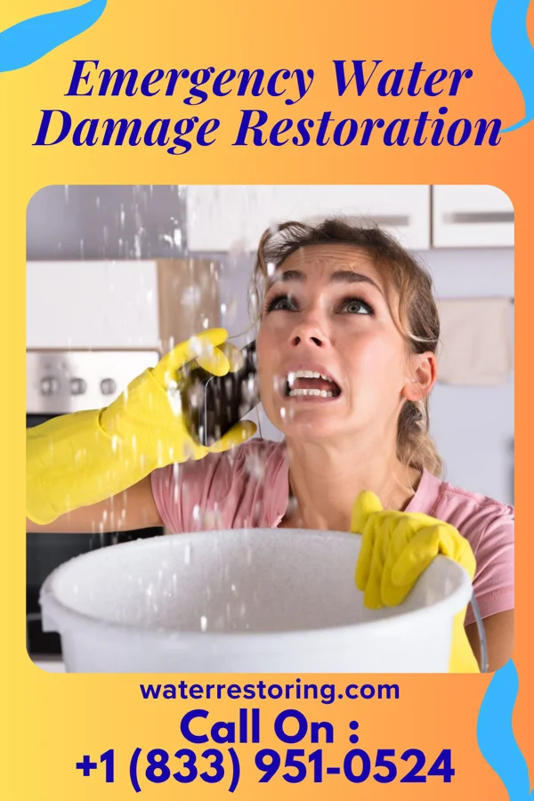 Emergency Water Damage Restoration in Estelle, LA